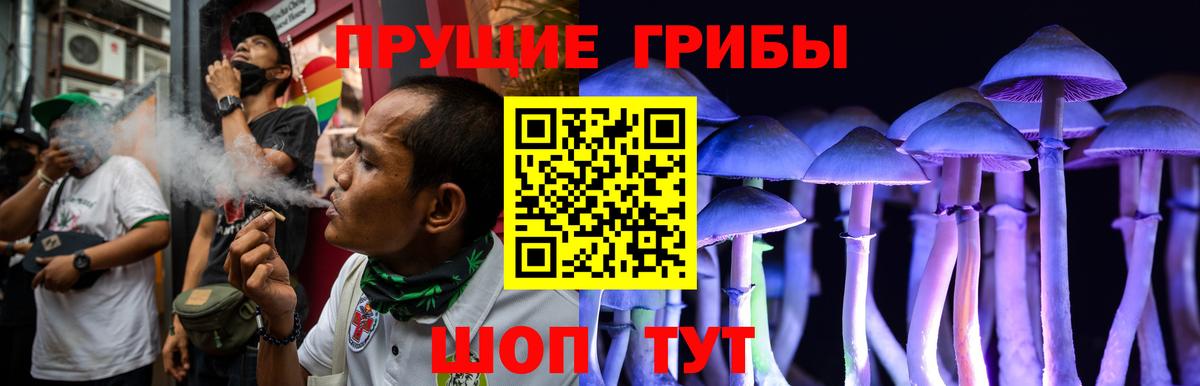 Псилоцибиновые грибы прущие грибы  Вход с VPN  Мурманск 
